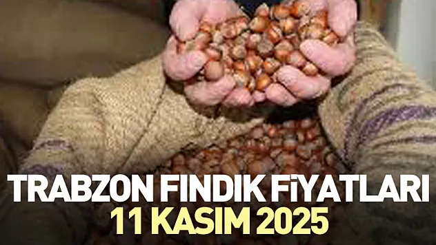 Trabzon Fındık Fiyatları 11 Kasım 2025