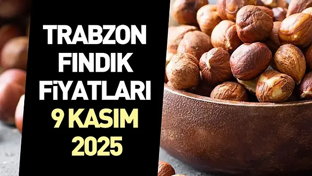 Trabzon Fındık Fiyatları 9 Kasım 2025: Serbest Piyasada Hareketlilik Devam Ediyor