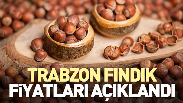 Trabzon Fındık Fiyatları açıklandı