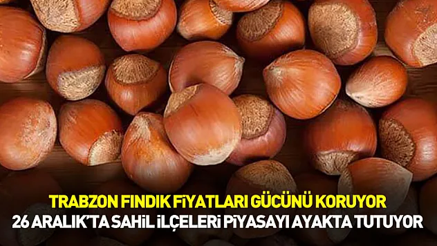 Trabzon Fındık Fiyatları Gücünü Koruyor | 26 Aralık'ta Sahil İlçeleri Piyasayı Ayakta Tutuyor