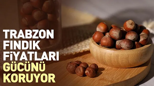 Trabzon Fındık Fiyatları Gücünü Koruyor | 27 Aralık'ta Dengeli Piyasa