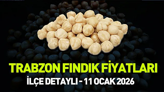 Trabzon Fındık Piyasası: 11 Ocak 2026 Güncel İlçe Fiyatları