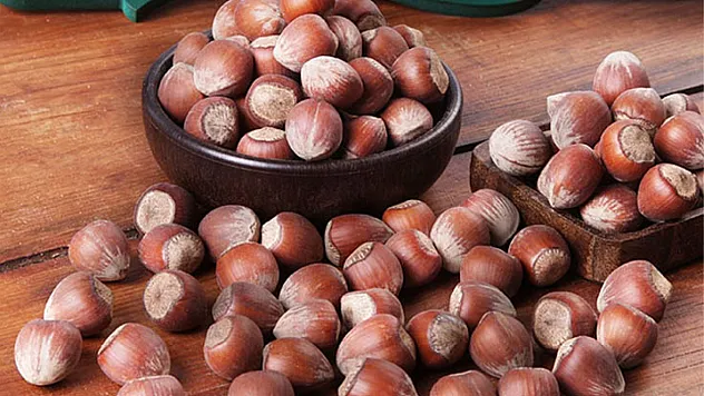 Trabzonlu üreticinin yüzü gülüyor: Fındık 240 TL barajını zorluyor