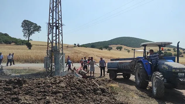 Trafoya çarpan kuş yangına sebep oldu