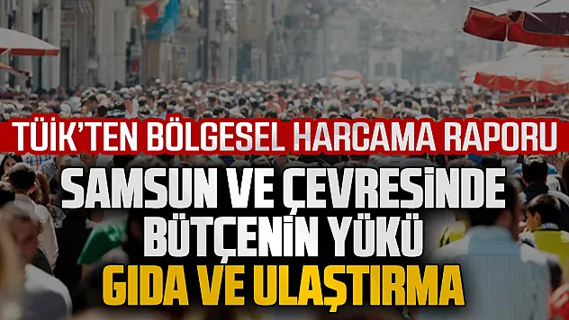TÜİK 2025 verileri açıklandı: Samsun'da bütçeler gıda, ulaştırma ve konuta gidiyor