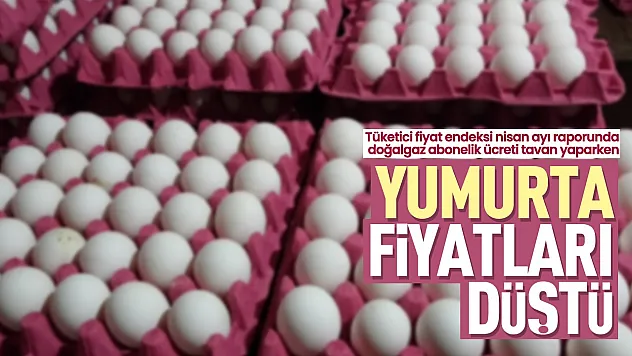 TÜİK Nisan ayı enflasyonunda doğalgaz arttı yumurta düştü