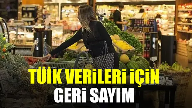TÜİK  Verileri İçin Geri Sayım