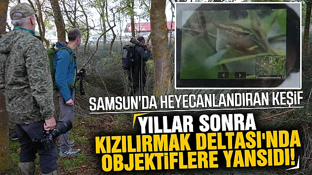 Türkiye'de çok nadir görülen 'çalıkuşu çıvgını' Samsun Kızılırmak Deltası'nda görüntülendi
