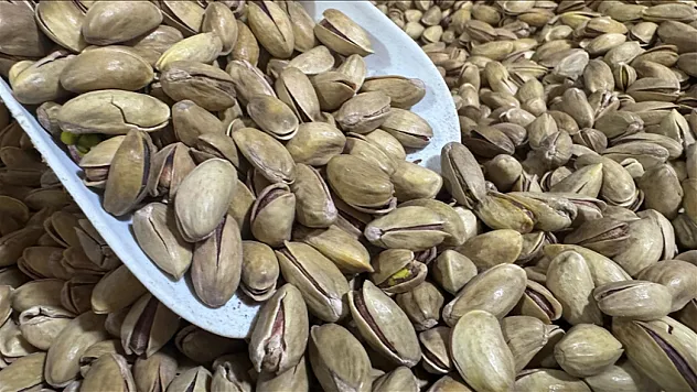 Türkiye'den yılın ilk çeyreğinde 32,8 milyon dolarlık fıstık ihracatı