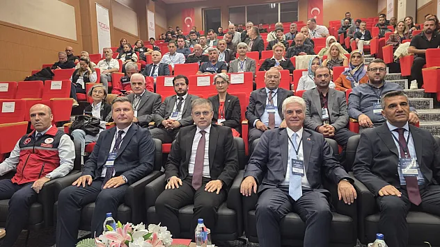 Türkiye Kaz Yetiştiriciliğinde Dünya 7'ncisi: Bandırma'da Dev Çalıştay Başladı