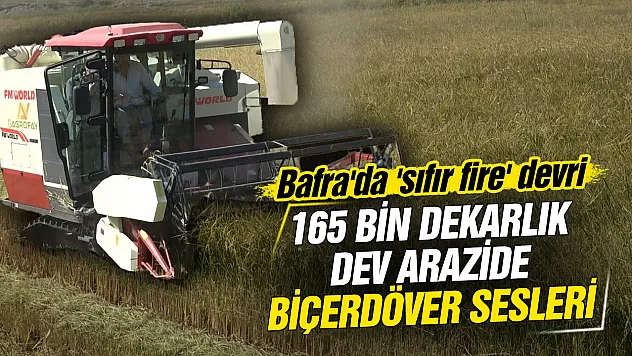 Türkiye'nin çeltik deposu Bafra Ovası'nda hasat mesaisi