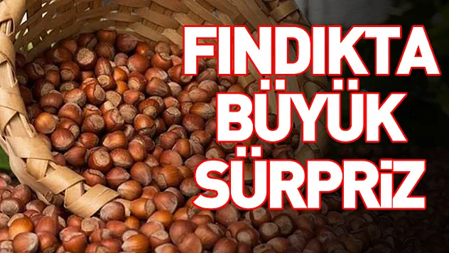Türkiye'nin Fındık İhracatında İlk 3 Ay Verileri Açıklandı