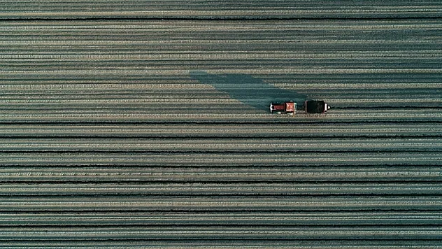 Türkiye'nin Organize Tarım Bölgeleri Yaygınlaşıyor