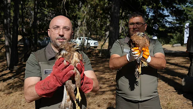 Türkiye, yaban hayatına sahip çıkıyor