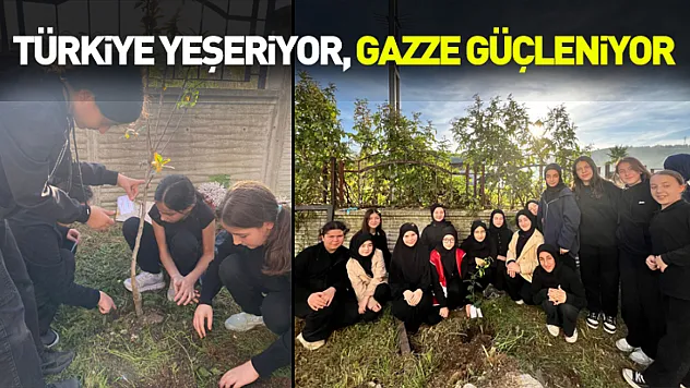 Türkiye Yeşeriyor, Gazze Güçleniyor