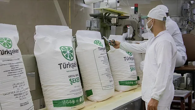 Türkşeker 525 İşçi Alımı Başladı: İŞKUR Başvuru Ekranı, Şartlar ve Kadro Detayları