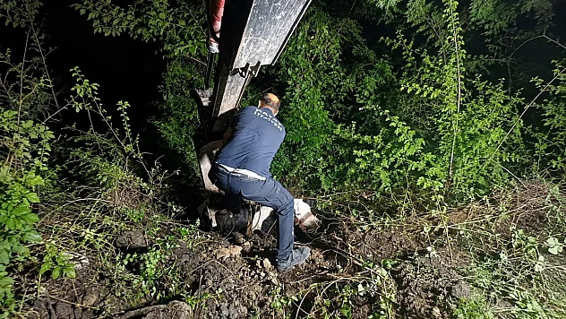 Uçuruma düşen inek iş makinesiyle çıkarıldı