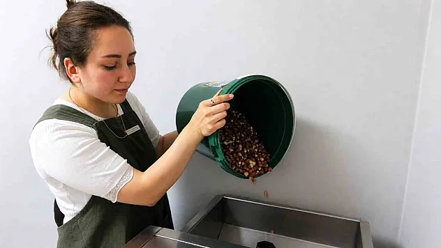 Üniversitedeki hayalini memleketinde gerçekleştirdi! İlçenin ilk kadın girişimcisi oldu