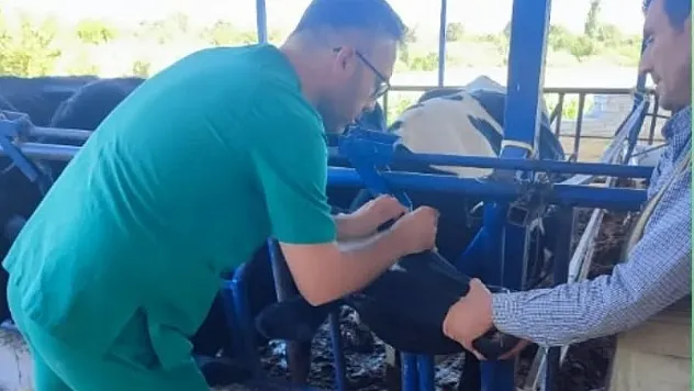 Üreticilere şap hastalığı uyarısı