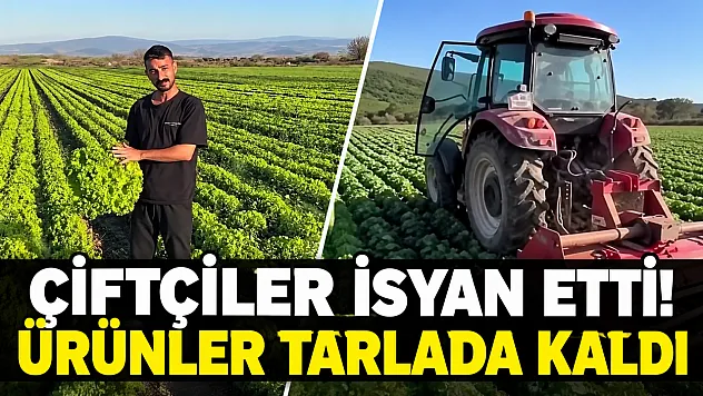 Üreticinin emeği pazarda karşılık bulmuyor