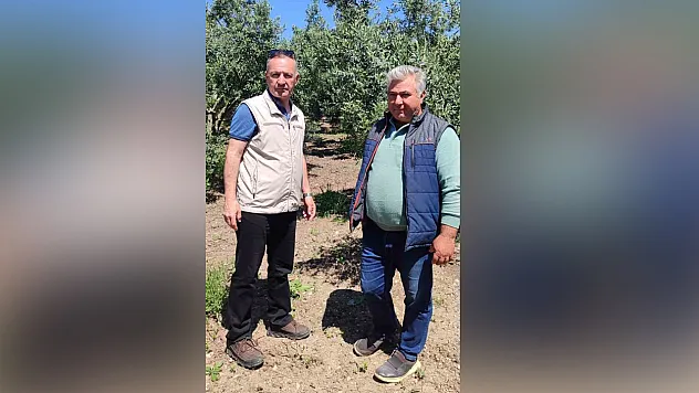 Üreticiye pamuklu bit uyarısı