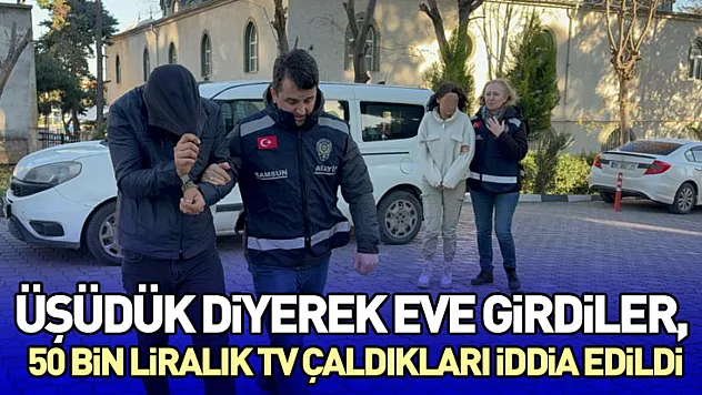 Üşüdük Diyerek Eve Girdiler, 50 Bin Liralık TV Çaldıkları İddia Edildi