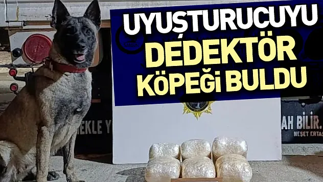 Uyuşturucuyu dedektör köpeği buldu