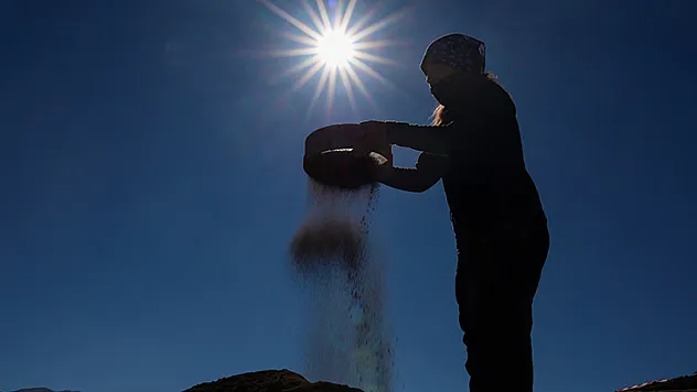 Van'daki kazılarda 5 bin yıllık karbonlaşmış arpa taneleri bulundu
