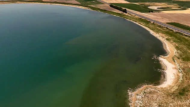 Van Gölü sahilinde renk değişimi merak uyandırdı