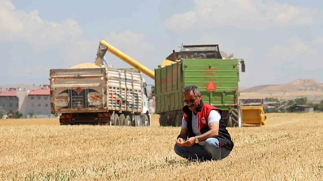 Vanlı çiftçiler perişan halde