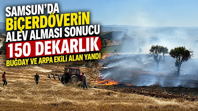 Vezirköprü'de Biçerdöver Yangını: 150 Dekarlık Ekili Alan Kül Oldu