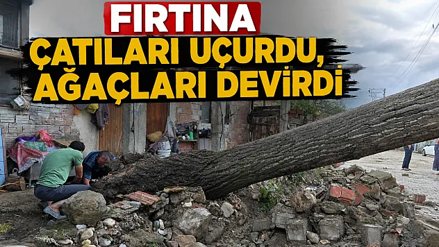 Vezirköprü'de dolu ve sağanak hayatı olumsuz etkiledi