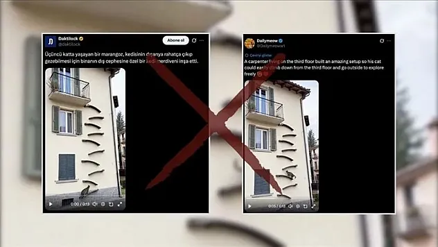 Viral olan 'kedi merdiveni' görüntüsünün yapay zeka ürünü olduğu ortaya çıktı