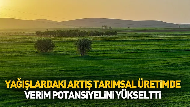 Yağışlardaki artış tarımsal üretimde verim beklentisini yükseltti