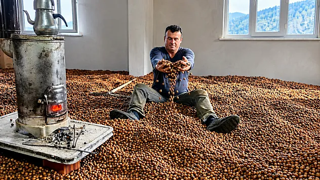 Yağmur fındık üreticisini sobaya yöneltti