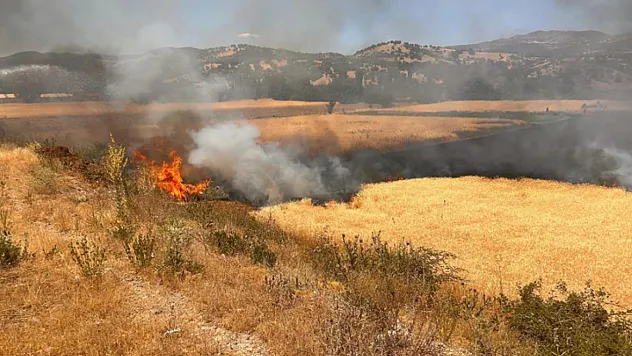 Yangında 2,5 dekar ekili alan zarar gördü