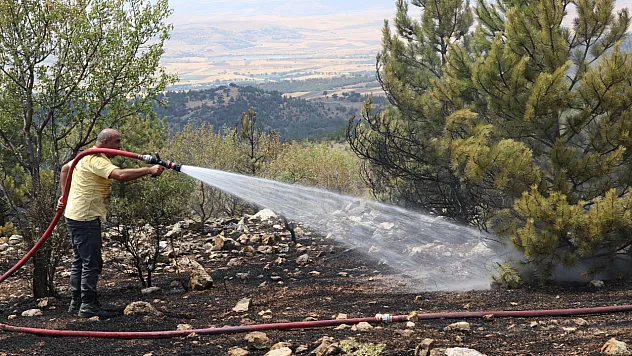 Yangında yaklaşık 2 hektar ormanlık alan zarar gördü.