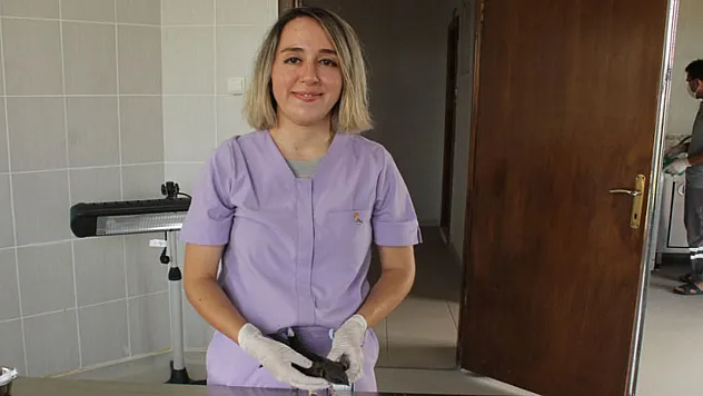 Yaralı bulunan bozkır şahini tedavi altına alındı