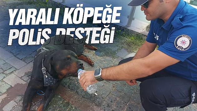 Yaralı köpeğe polis desteği