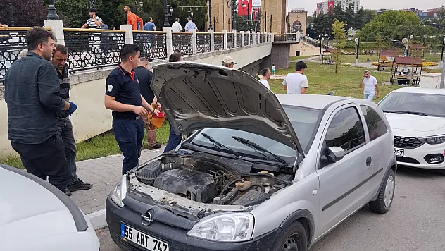 Yavru kediyi itfaiye böyle kurtardı!