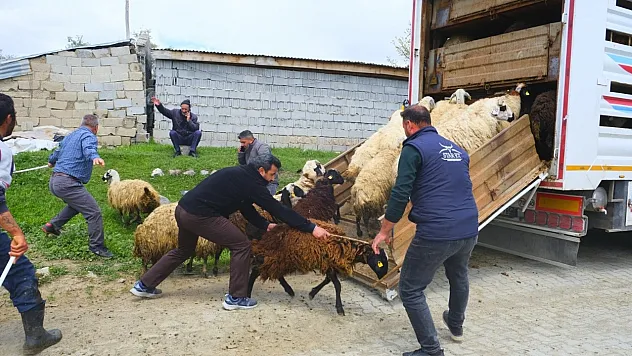 Yayla yolculuğunda renkli anlar