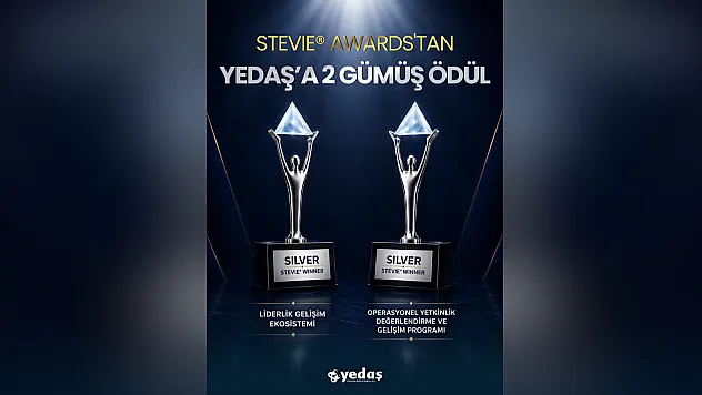 Yedaş'a Stevıe Awards'tan İki Gümüş Ödül