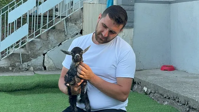 Yem almaya gittiler, engelli keçiyi sahiplendiler