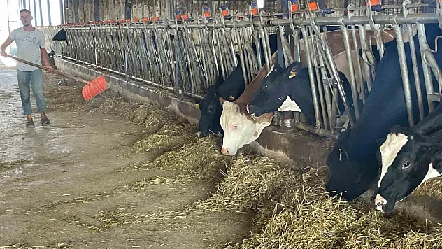 'yem dayatması'na tepki