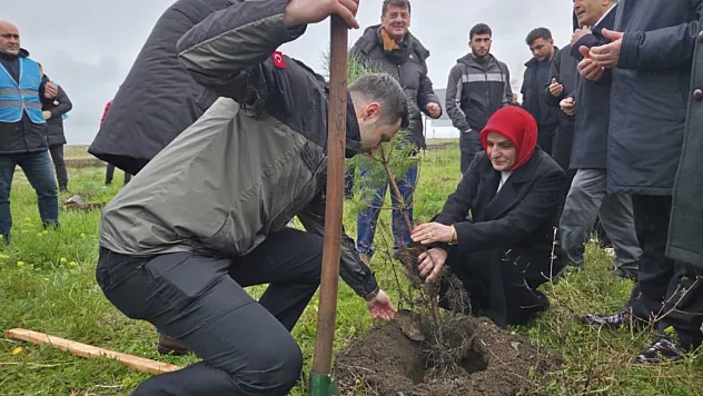 Yeşil Vatan gönüllülerinden fidan dikimi