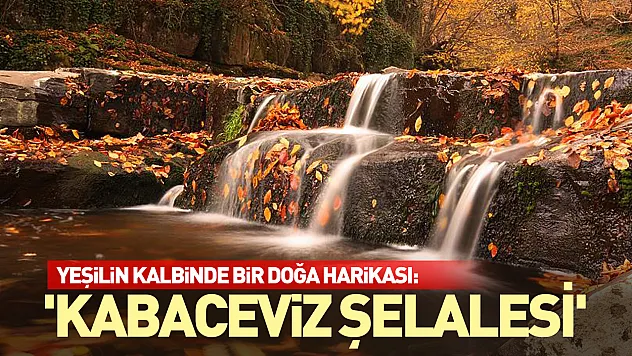 Yeşilin kalbinde bir doğa harikası: 'Kabaceviz Şelalesi'