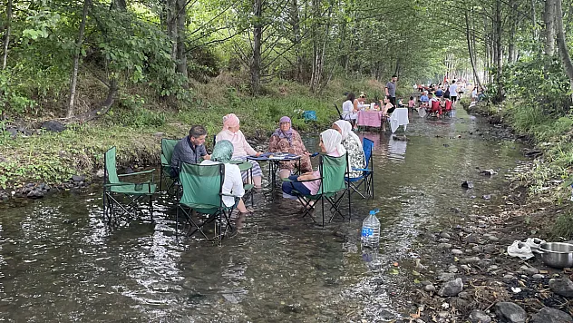 Yeşilin Kalbinde Saklı Cennet