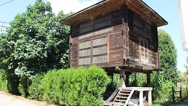 Yıllara Meydan Okuyan Ahşap Depo: Seren