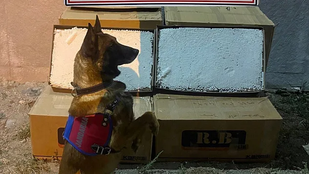 Yolcu otobüsünde kaçak makaron ele geçirildi