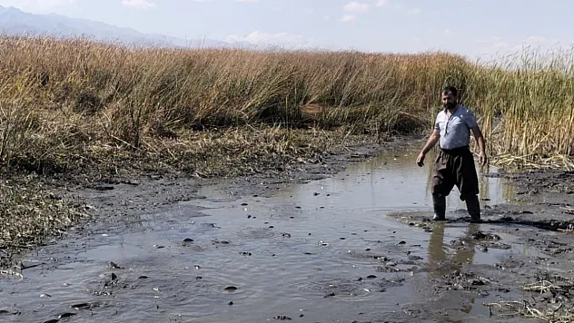 Yüksekova'da acı manzara: Balıklar çamur içinde kaldı